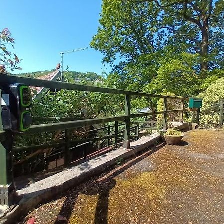 Treetop Cottage At Countisbury Lodge Lynmouth Eksteriør billede