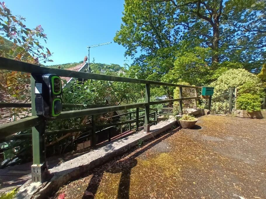 Treetop Cottage At Countisbury Lodge Lynmouth Eksteriør billede