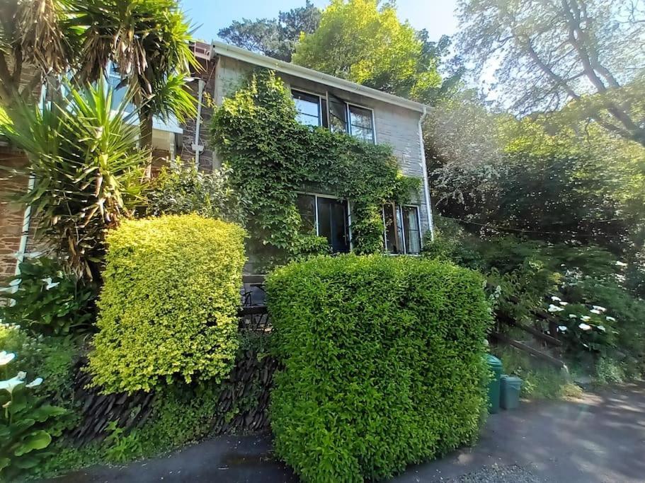 Treetop Cottage At Countisbury Lodge Lynmouth Eksteriør billede