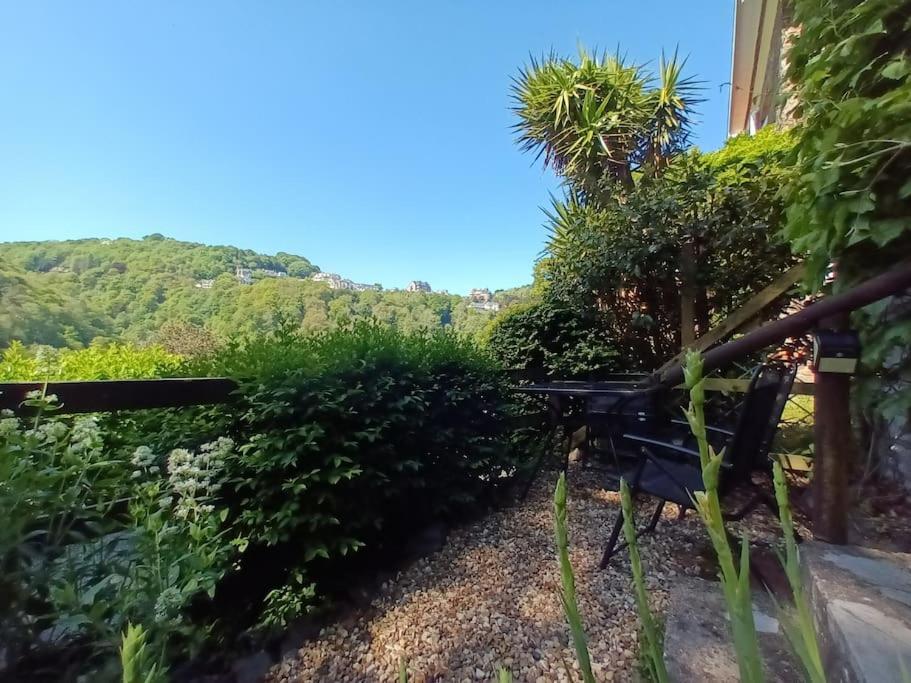 Treetop Cottage At Countisbury Lodge Lynmouth Eksteriør billede